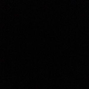 Meet your Posher, Bella